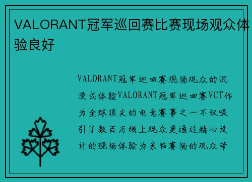 VALORANT冠军巡回赛比赛现场观众体验良好