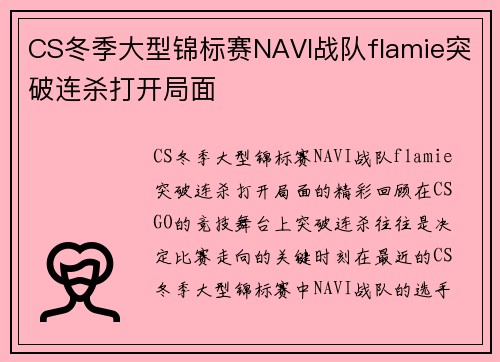 CS冬季大型锦标赛NAVI战队flamie突破连杀打开局面